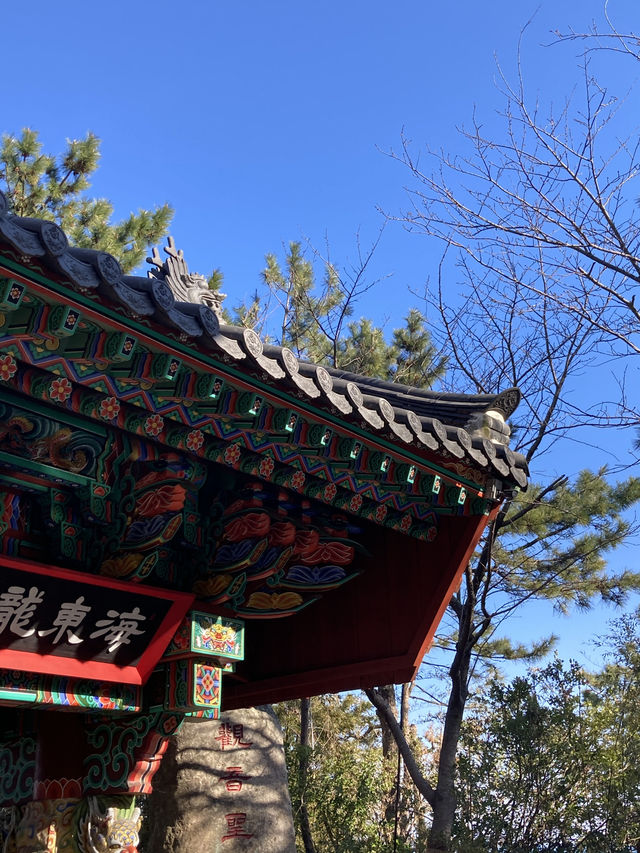 부산 기장 당일치기 이렇게 가세요 ✨