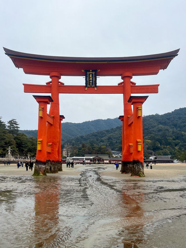 【広島】何度見ても飽きない国宝