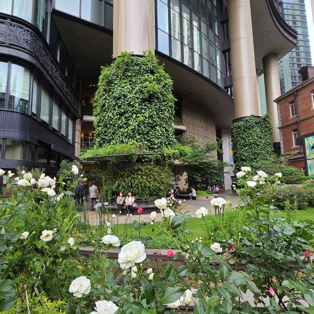 癒しスペース🌱🌹