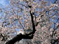 Nagasaki: Where History Speaks and Peace Prevails