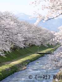 Time-Traveler’s Haven: Kanazawa’s Quiet Elegance
