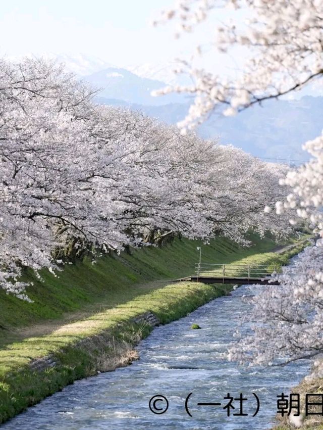Time-Traveler’s Haven: Kanazawa’s Quiet Elegance