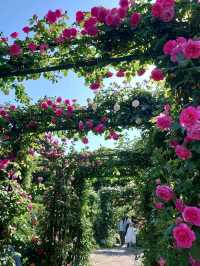 【横浜】百花繚乱の横浜へ行こう