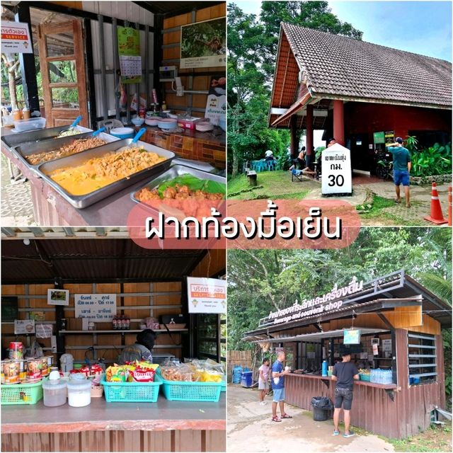 แพลนเที่ยวเขาพะเนินทุ่ง 1 คืน 