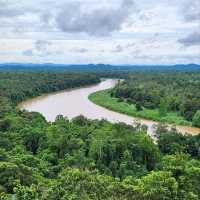 Cruisin’ the Kinabatangan River