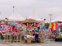 Kite on the Lake ทะเลสาบเมืองทอง