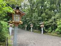 【靜謐之界】宮崎天皇神社⛩️遠離人間的寧靜