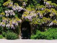Chirk Castle: Where Medieval Might Meets Timeless Beauty
