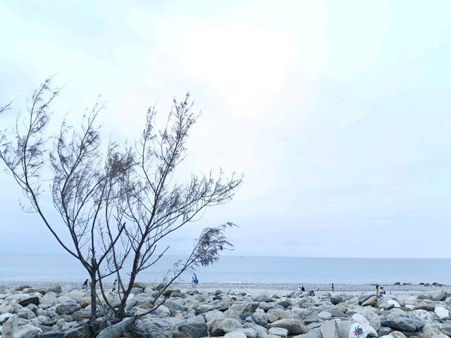臺東海濱公園、國際地標