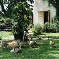 Judy’s Home Café คาเฟ่อบอุ่นและร่มรื่น