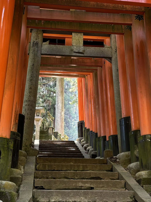 Fushimi Inari Taisha and its Senbon Torii are a must-see, even in the high season
