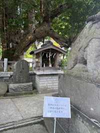 三浦半島の総鎮守「海南神社」—歴史と文化が息づく港町の守り神 