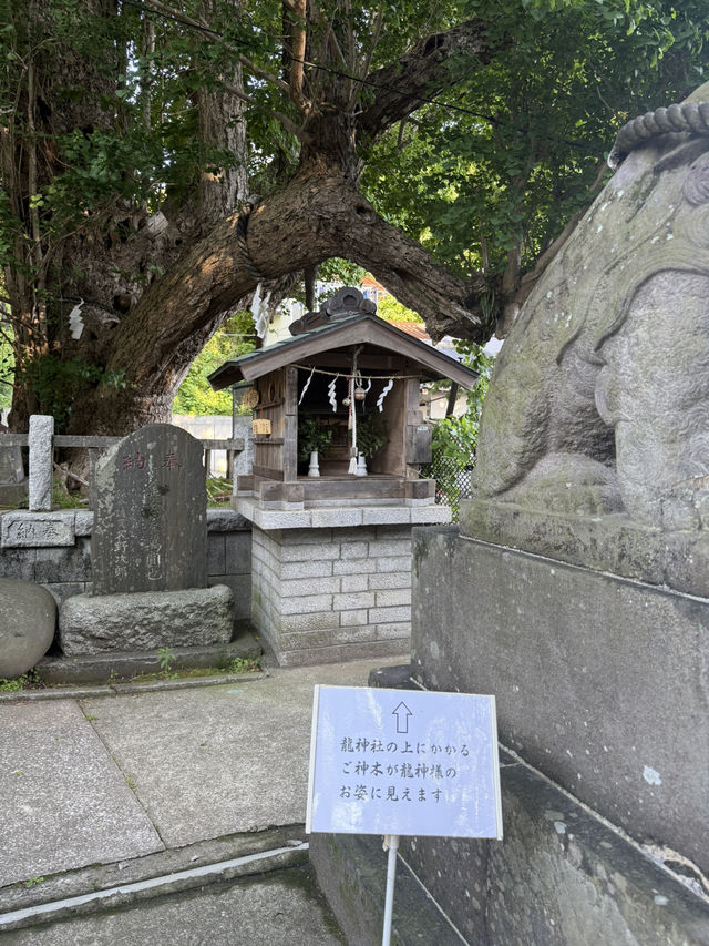 三浦半島の総鎮守「海南神社」—歴史と文化が息づく港町の守り神 