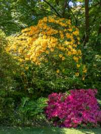 Bodnant Garden – A Living Masterpiece in the Heart of North Wales