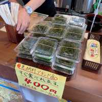日本🇯🇵沖繩 萬座毛 韓劇拍攝爆紅景點 絕美海景值得一訪！