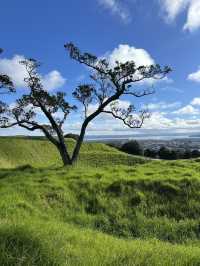 紐西蘭 ｜登奧克蘭伊甸山 Mount Eden Summit