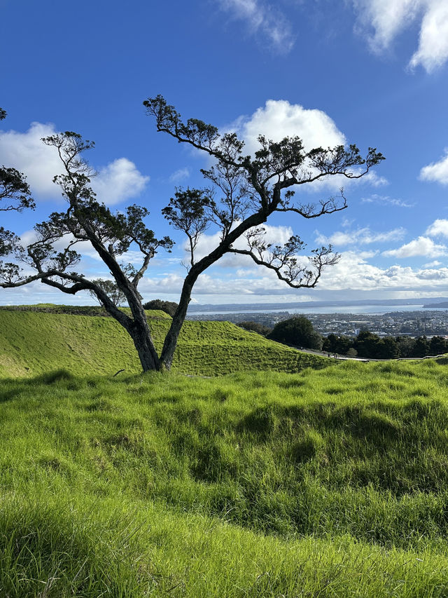 紐西蘭 ｜登奧克蘭伊甸山 Mount Eden Summit