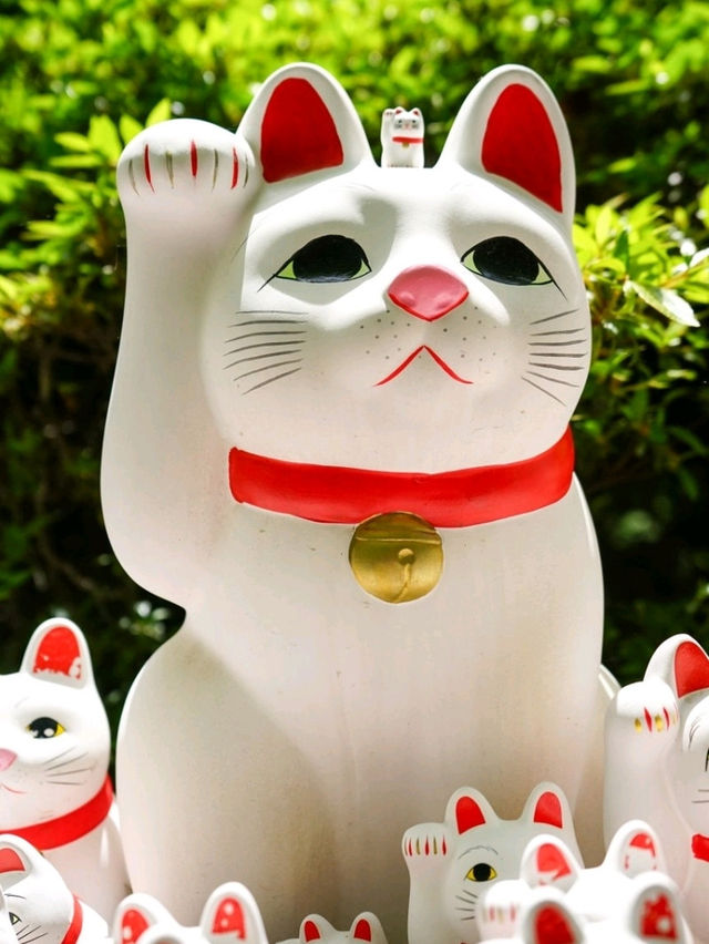 東京之旅·豪德寺⛩️🎏🐱
