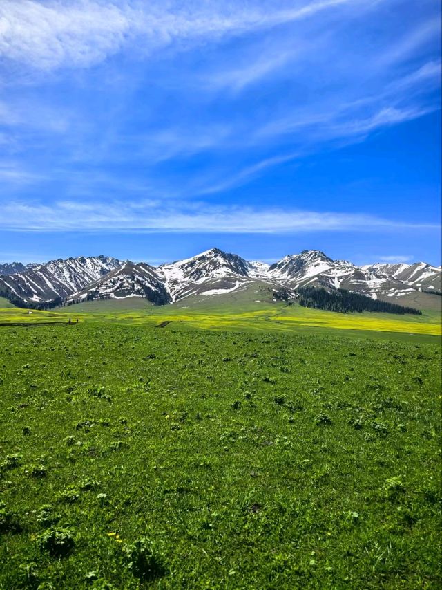 Nalati Grassland: The Emerald Crown of Xinjiang