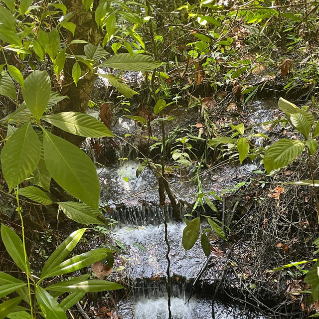 🥾 Bukit Kembara, Ampang – Hidden Hiking Gem in KL!