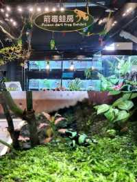 🌟 A Wonderful Day at Taipei Zoo