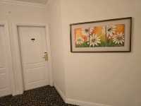 호캉스하기 좋은 부에노스아이레스 호텔 Scala Hotel Buenos Aires