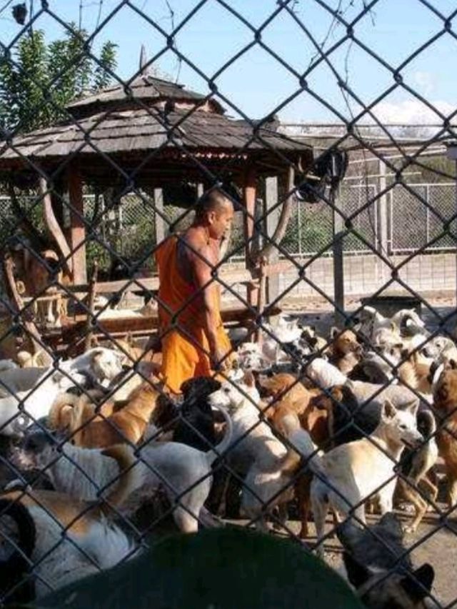 วัดเวฬุวนาราม