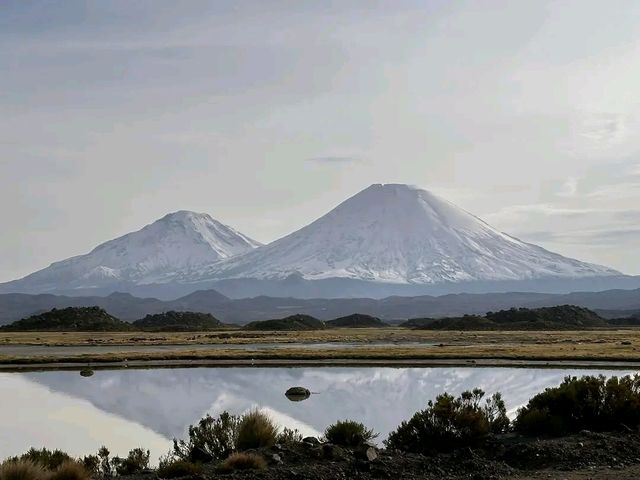Lauca National Park – Wild Beauty at the Top of the World