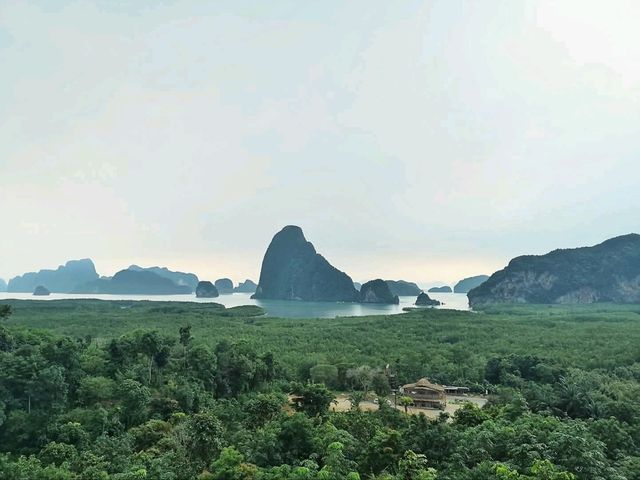 เสม็ดนางชี