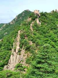 Gayasan National Park