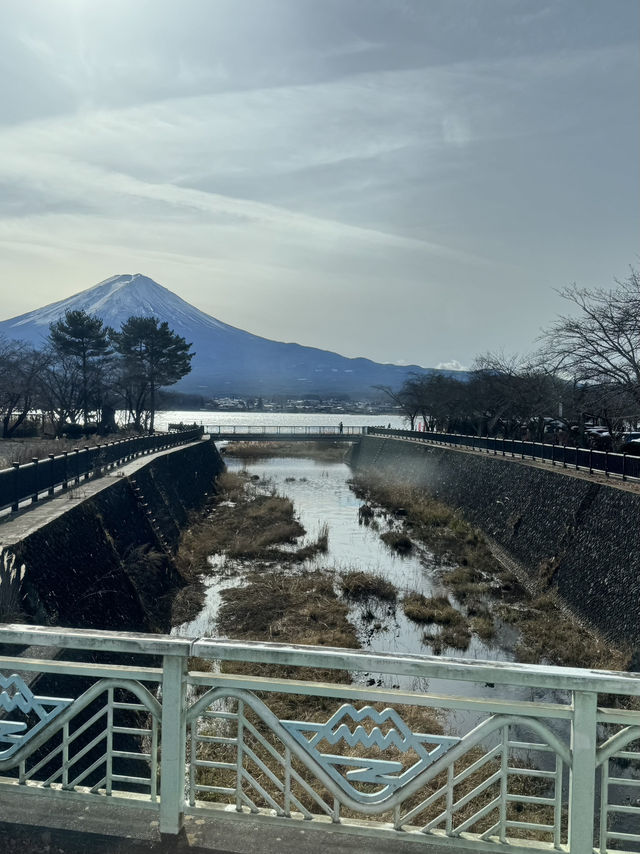 一日行程體驗🗻富士山🗻
