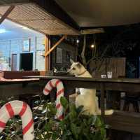 ร้านเชฟเต้บ้านไร่หาปักหมุดในgoogleได้เลย