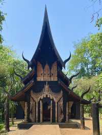 A chill budget trip to Baan Dam Museum👬💐😎