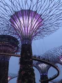 Light And Sound Show ที่ Gardens By The Bay