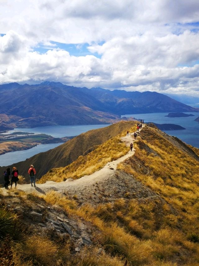 Down South to NZ
