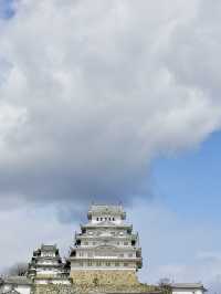 6 Days, 6 Cities, and One Pair of Tired Feet: My Japan Journey
