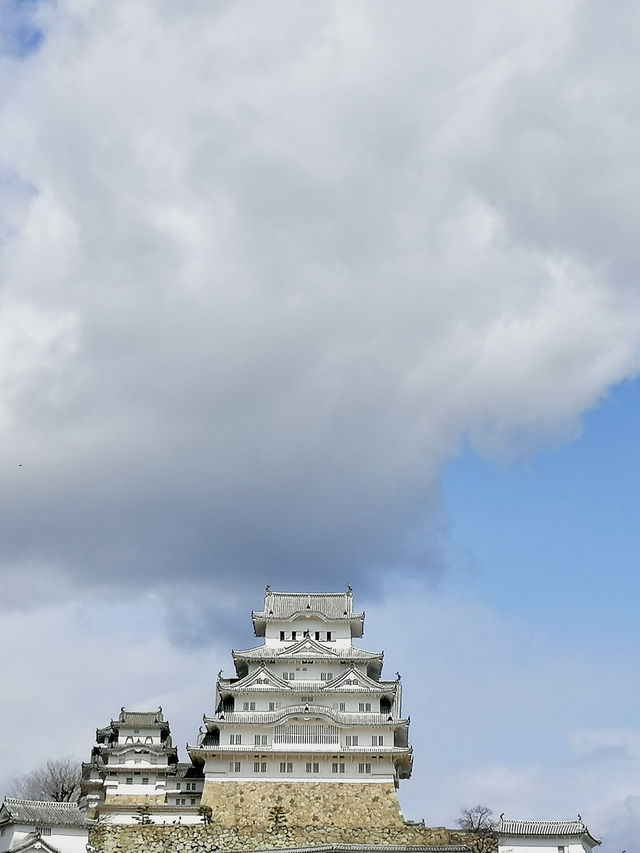 6 Days, 6 Cities, and One Pair of Tired Feet: My Japan Journey