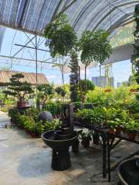 Hidden Green Corners in the City – Budget Garden Escape in Hong Kong