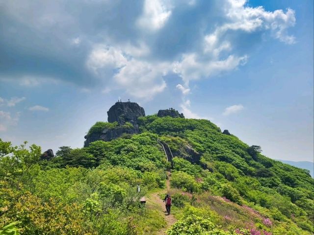 Hidden Forest Feels at Choamsan