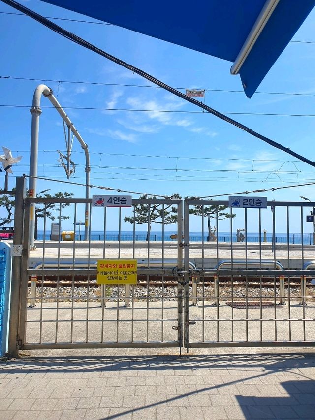 동해바다 오션뷰 레일바이크 즐기기⛱️