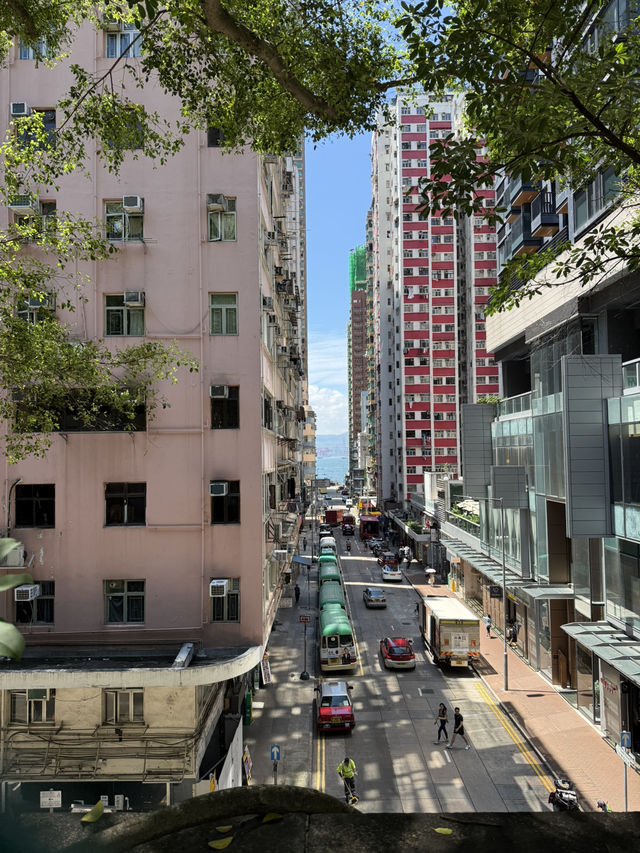 “Skyscrapers, Street Bites & Sho En Nights – HK, You Have My Heart 💛