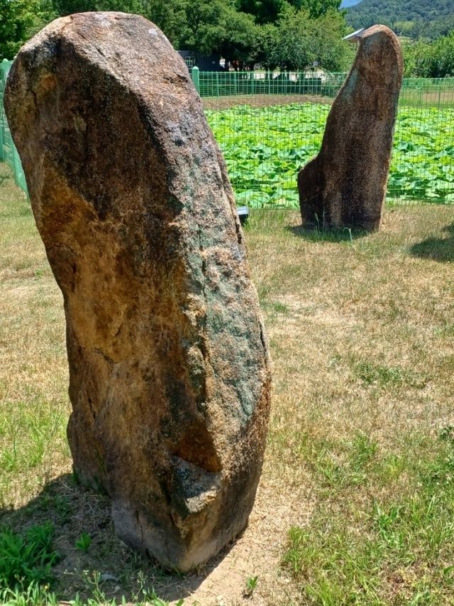 돌 속에 깃든 선사시대 이야기