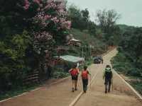 เดินป่า 5 วัน 4 คืน ที่แม่ฮ่องสอน Doister Hardtrek