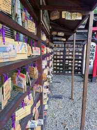 ⛩️被遺忘的昭和時光｜桃園神社，一場靜謐與歷史的對話
