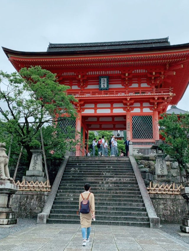 京都慢旅｜穿越千年風韻的片刻🍃⛩️