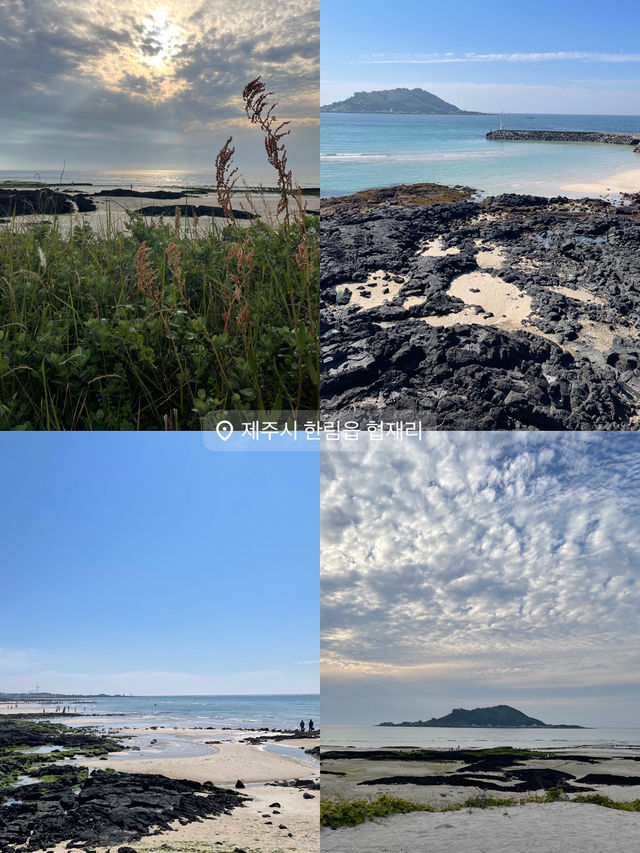 不自駕的濟州島獨旅去哪玩
