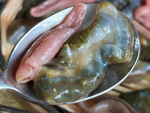 부산 기장 연화리 해녀촌에서 해산물 먹방여행 손큰할매