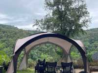 Hi Land Forest View