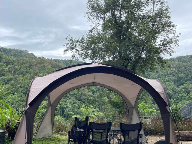 Hi Land Forest View