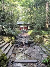 ⛩越後の心に触れる旅「彌彦神社」で静寂と神聖に包まれる時間